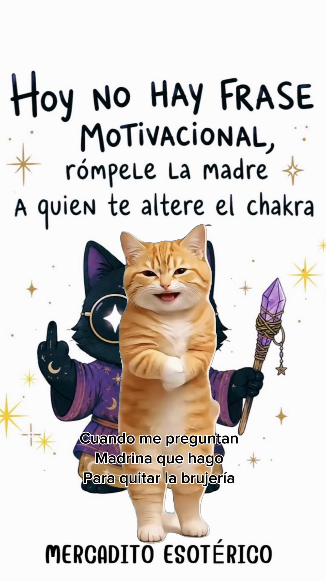 @sandyeleguacita