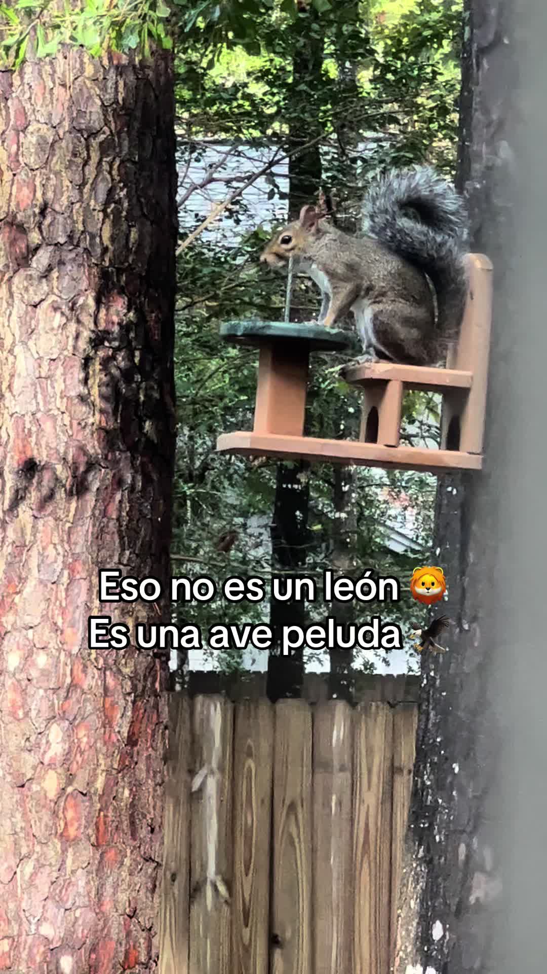 @Jennifer Martinez