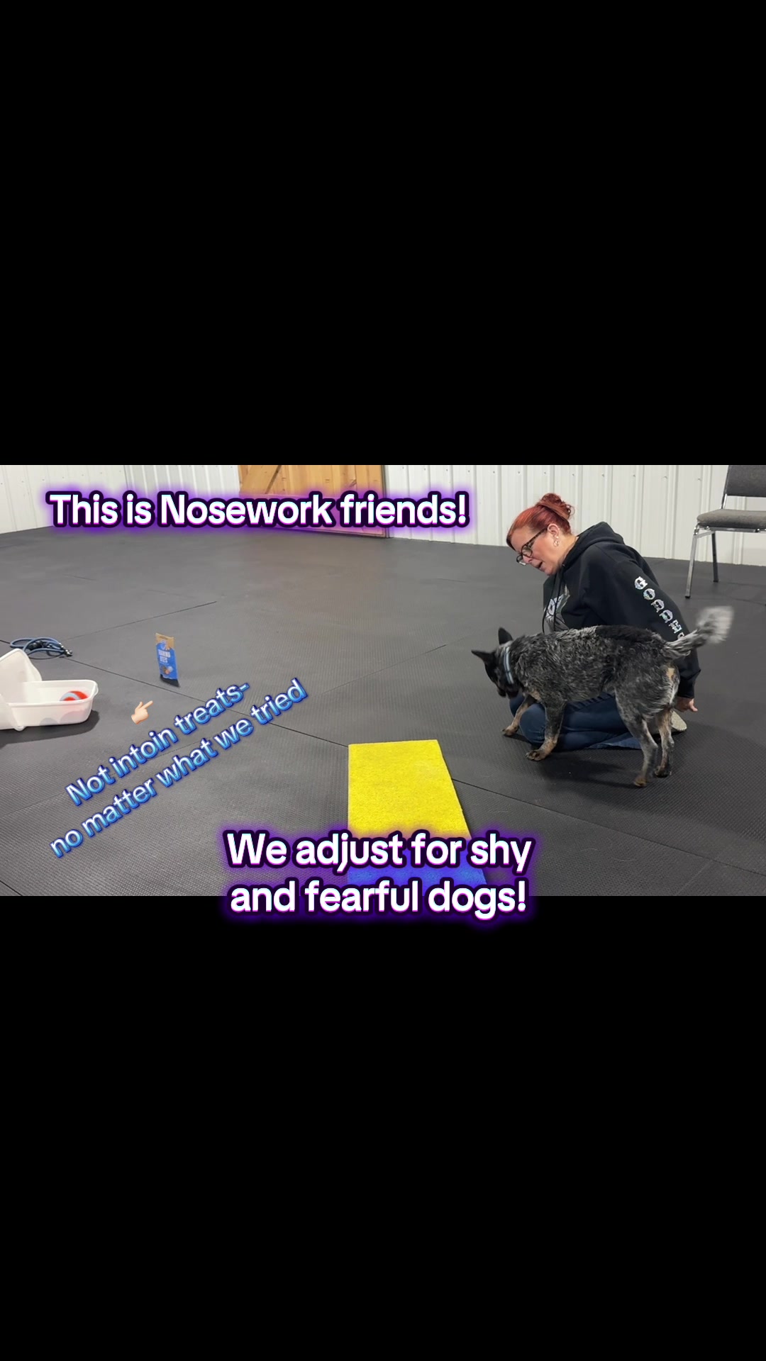 @All&ensp;Things D.O.G.
