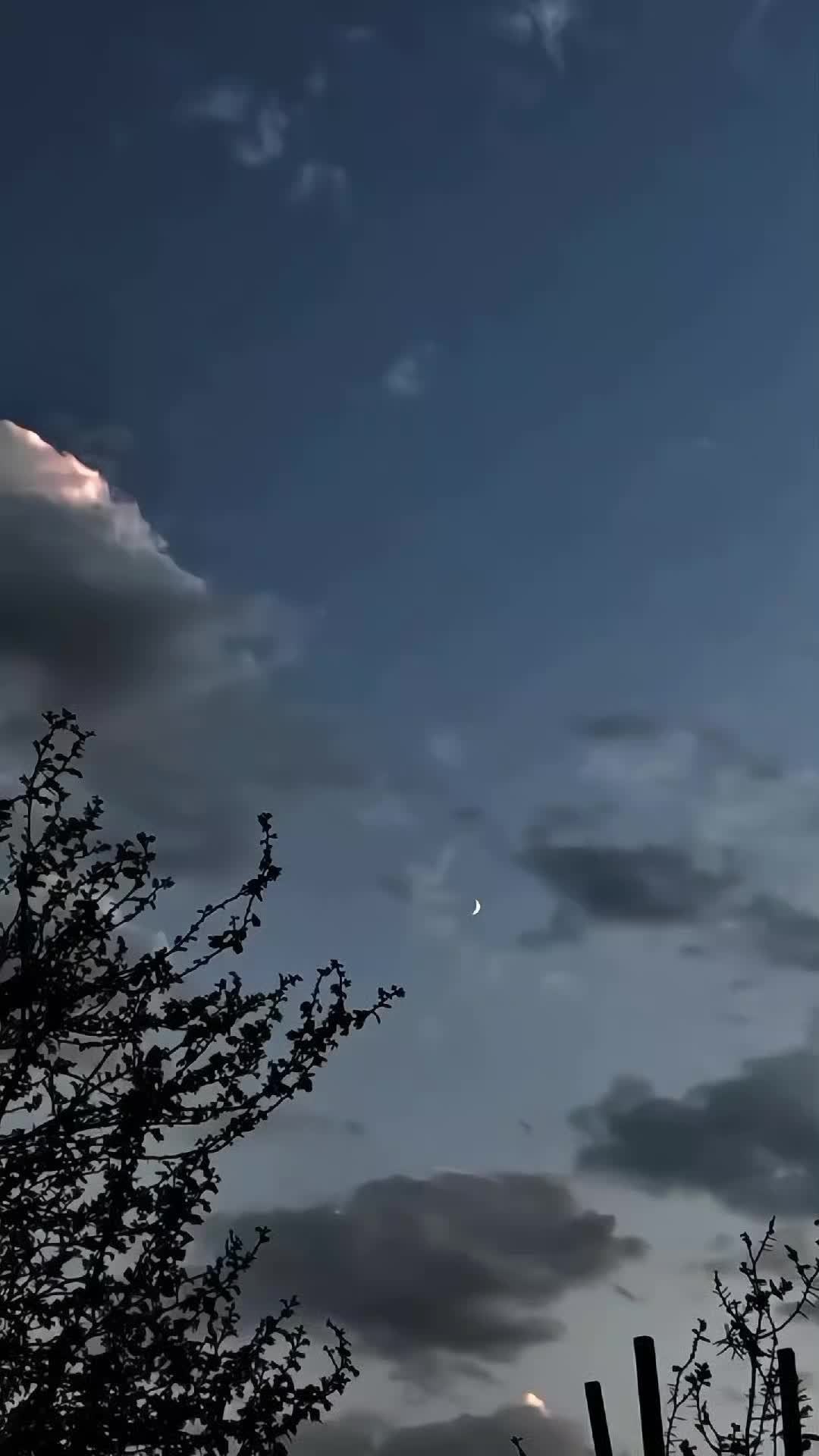 @ℕ𝔸𝕁𝔸𝔽_𝕁𝕌𝕋𝕥 😎