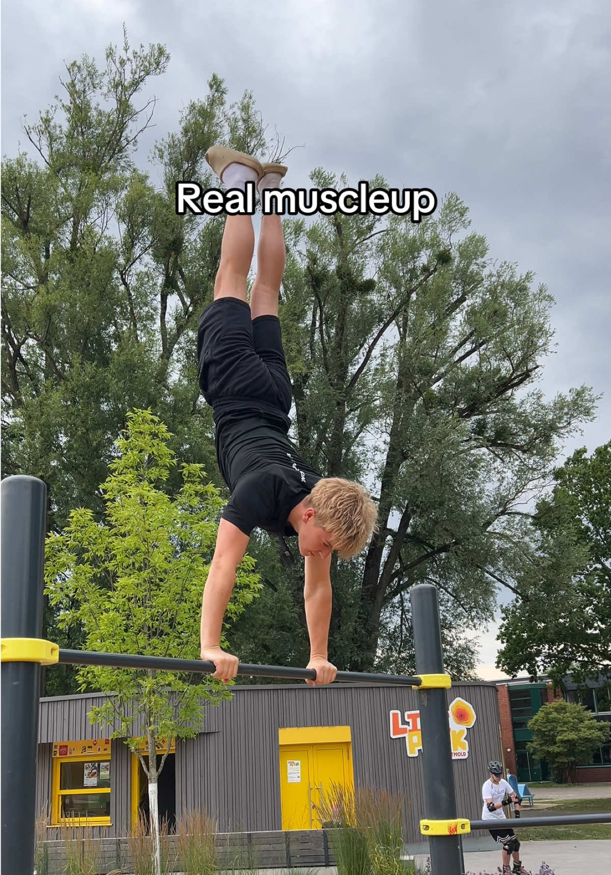 @levistatics