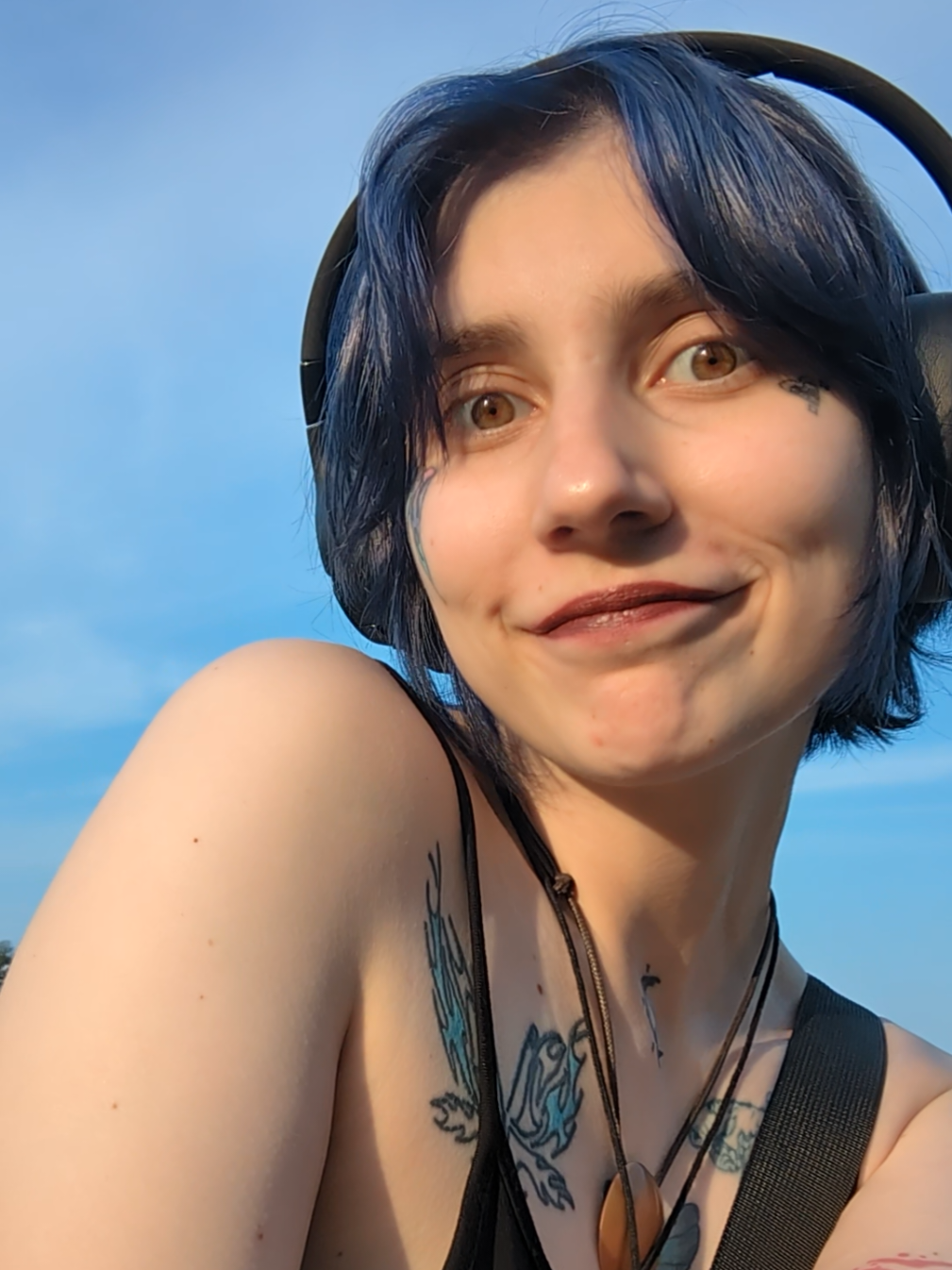 @YLVA 🦊