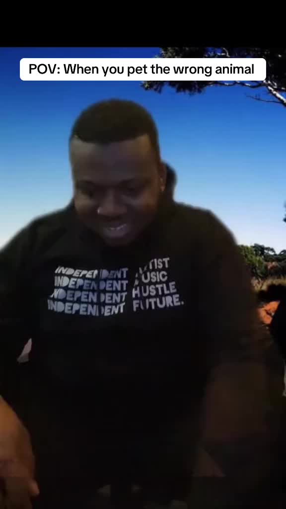 @mikeyalexandre
