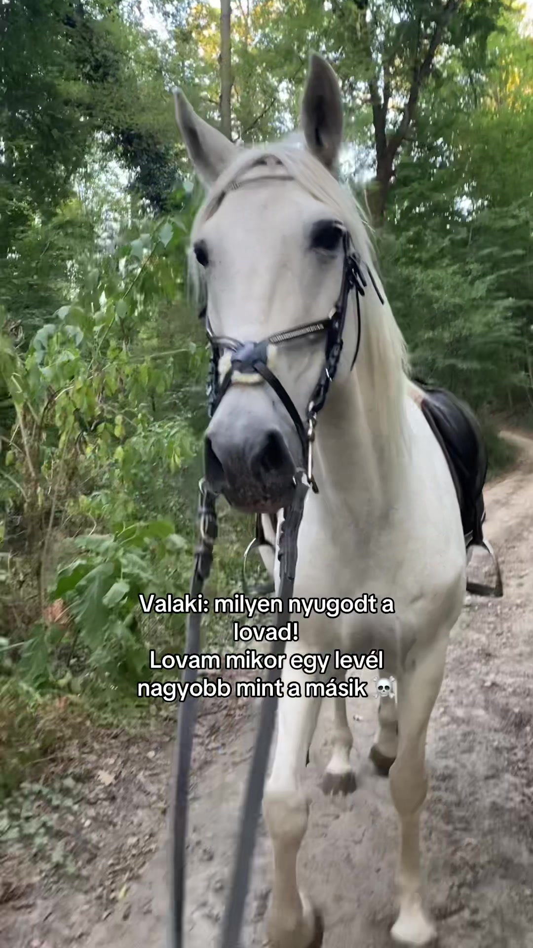 @Emirideer
