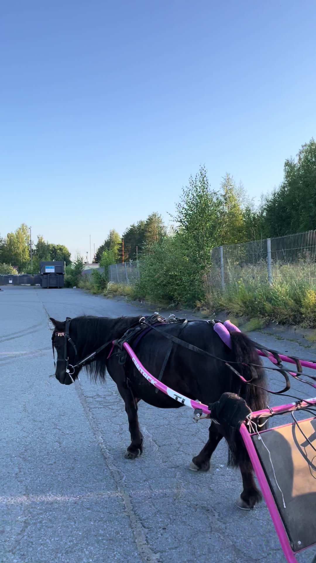 @🦄🦄