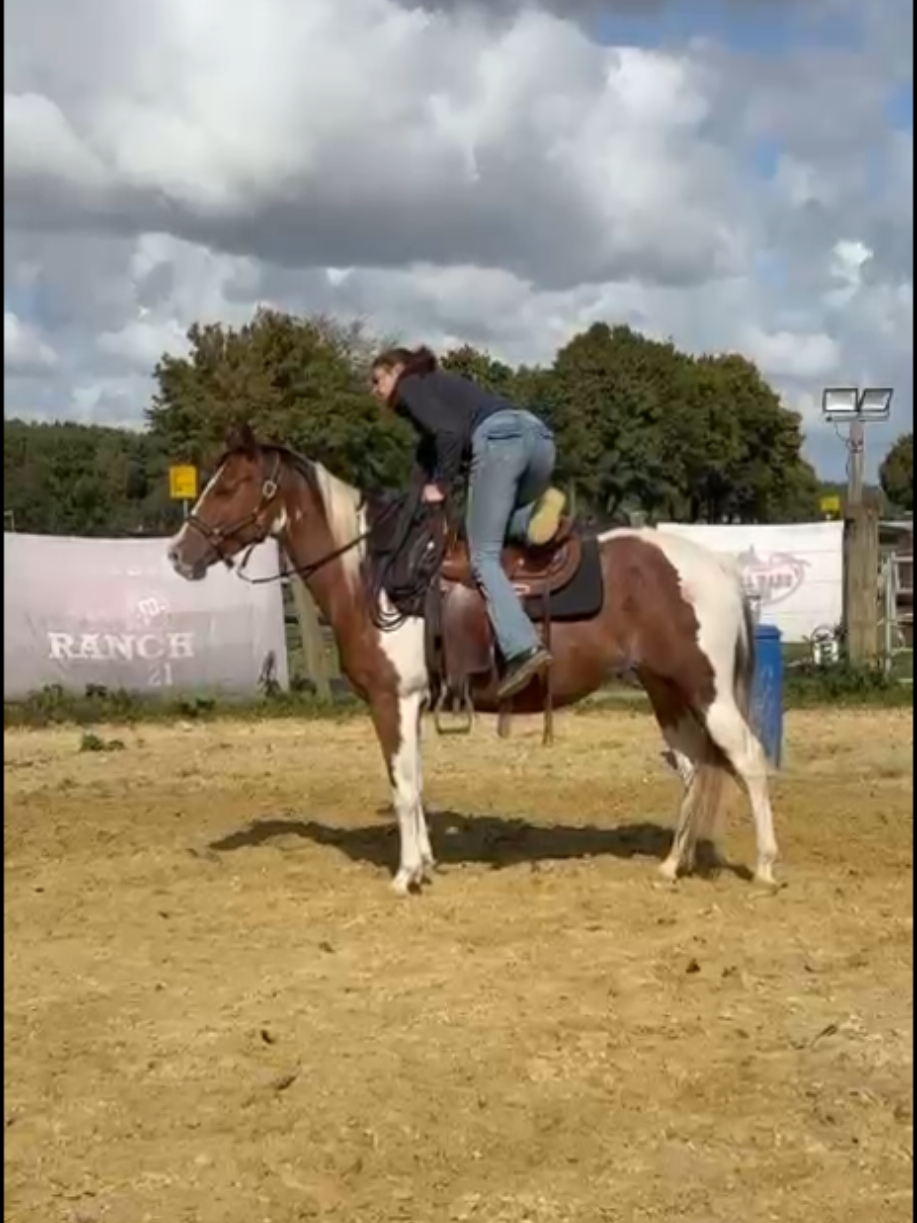 @~ Pearl Hart Ranch ~