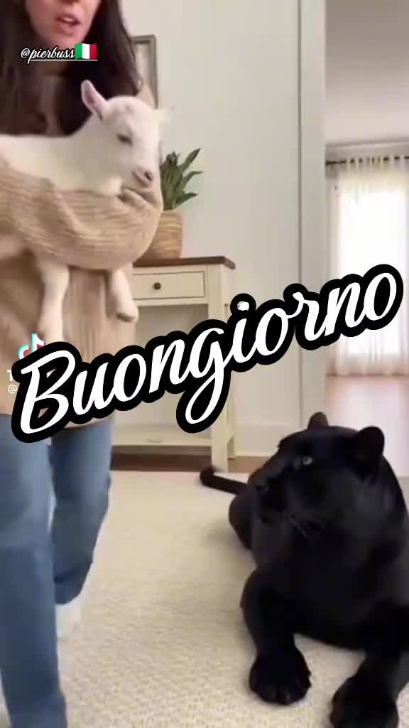 @pierbuss 🇮🇹