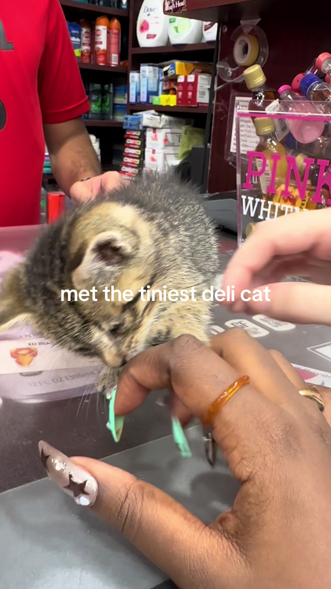 @mintchocolatchipice