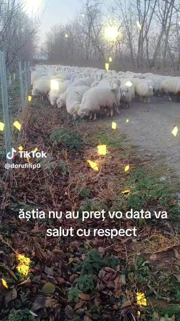 @Marian