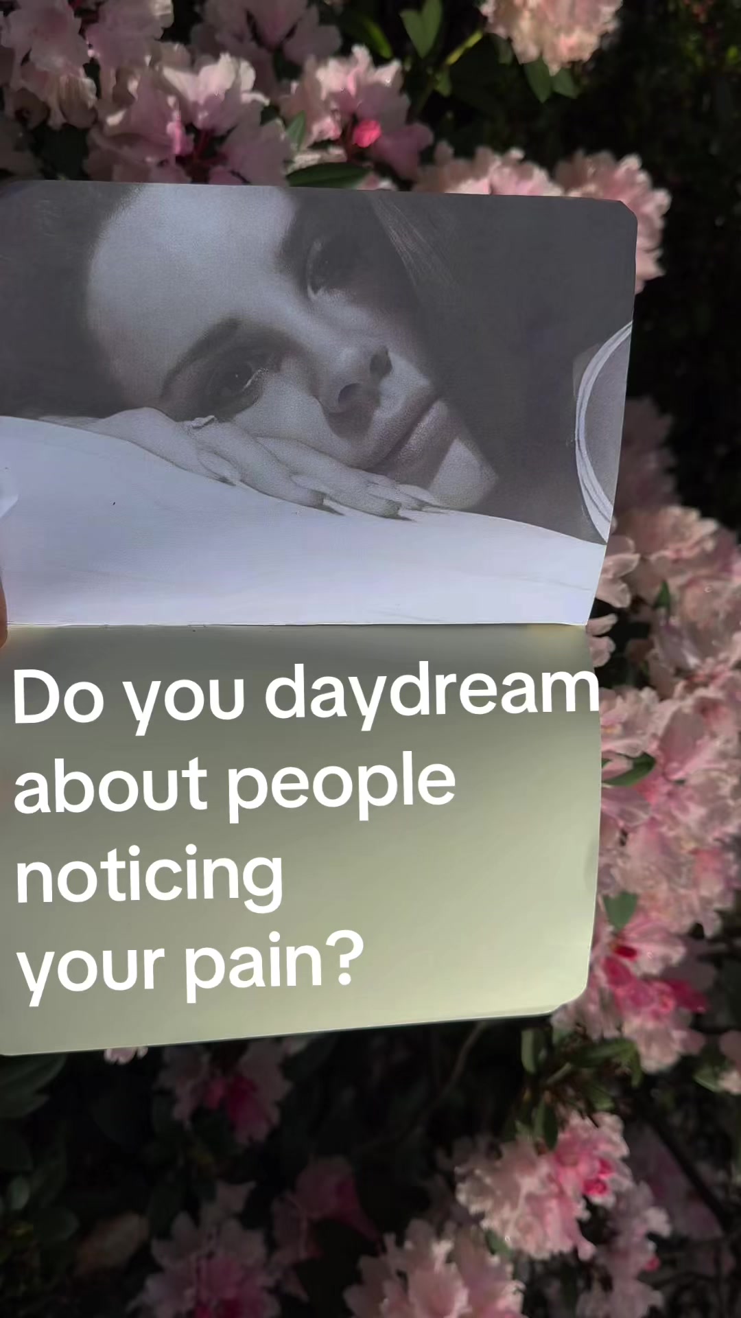 @lauren