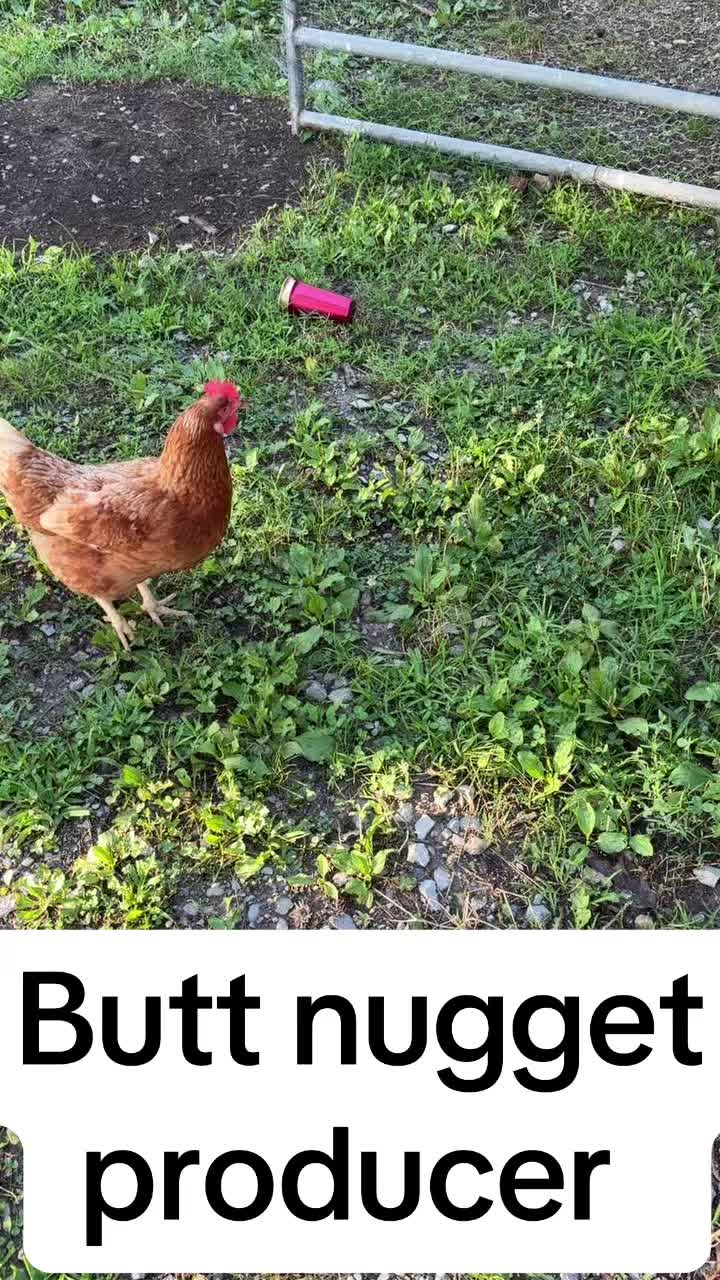 @Countree1978