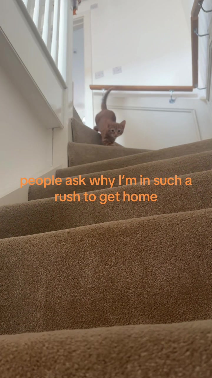 @chlo 🫧