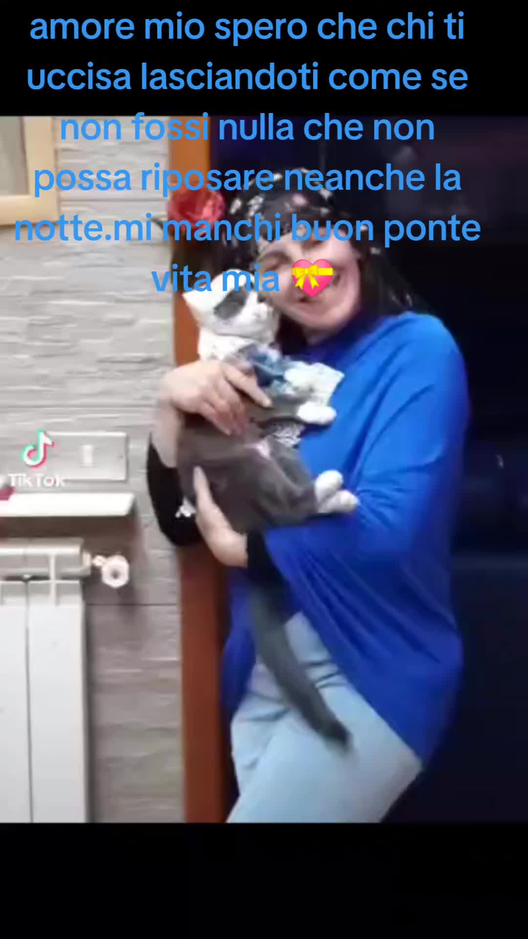@pina 77