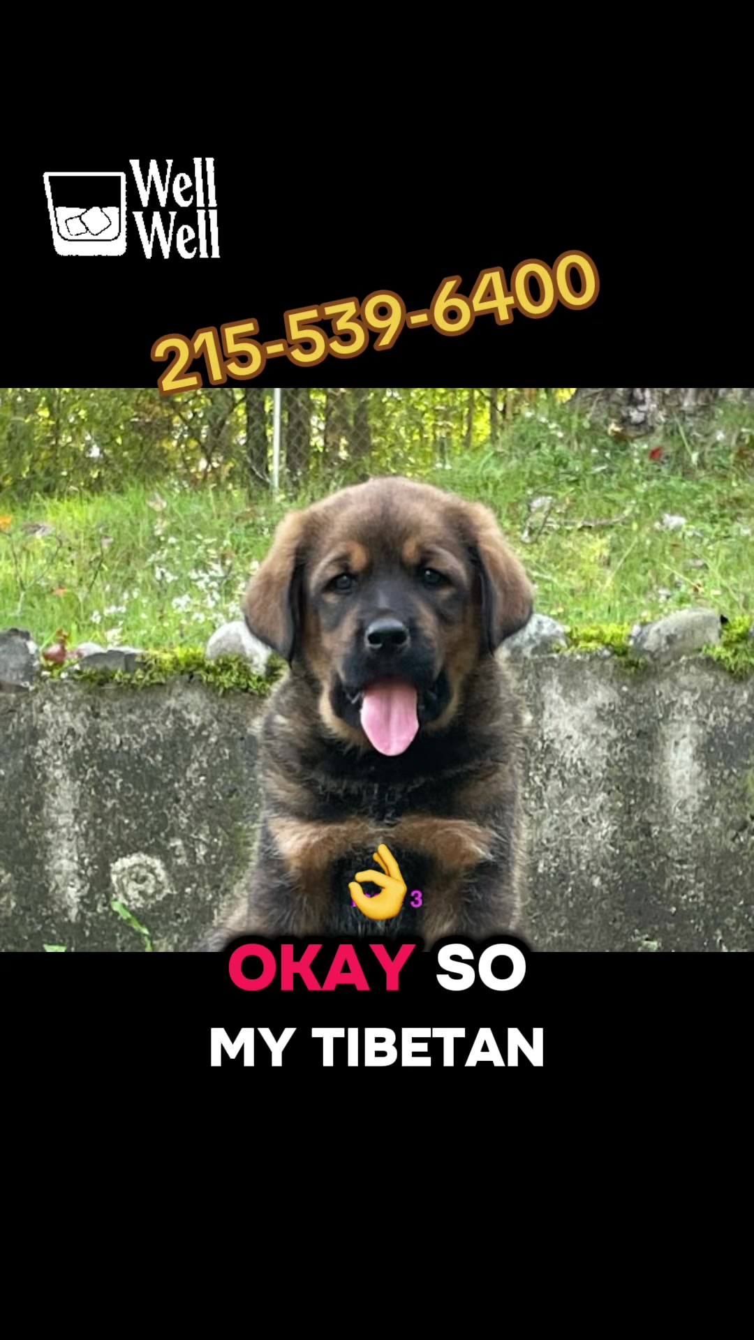 @Ultimate Puppies