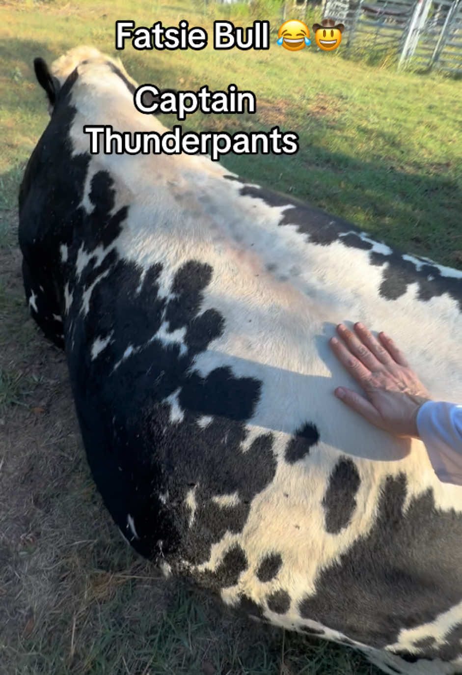 @Georgia Farm Girl
