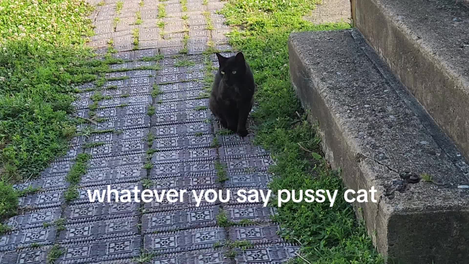 @fenner