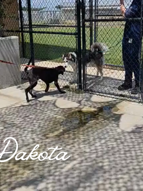 @Barking Mad Animal Refuge