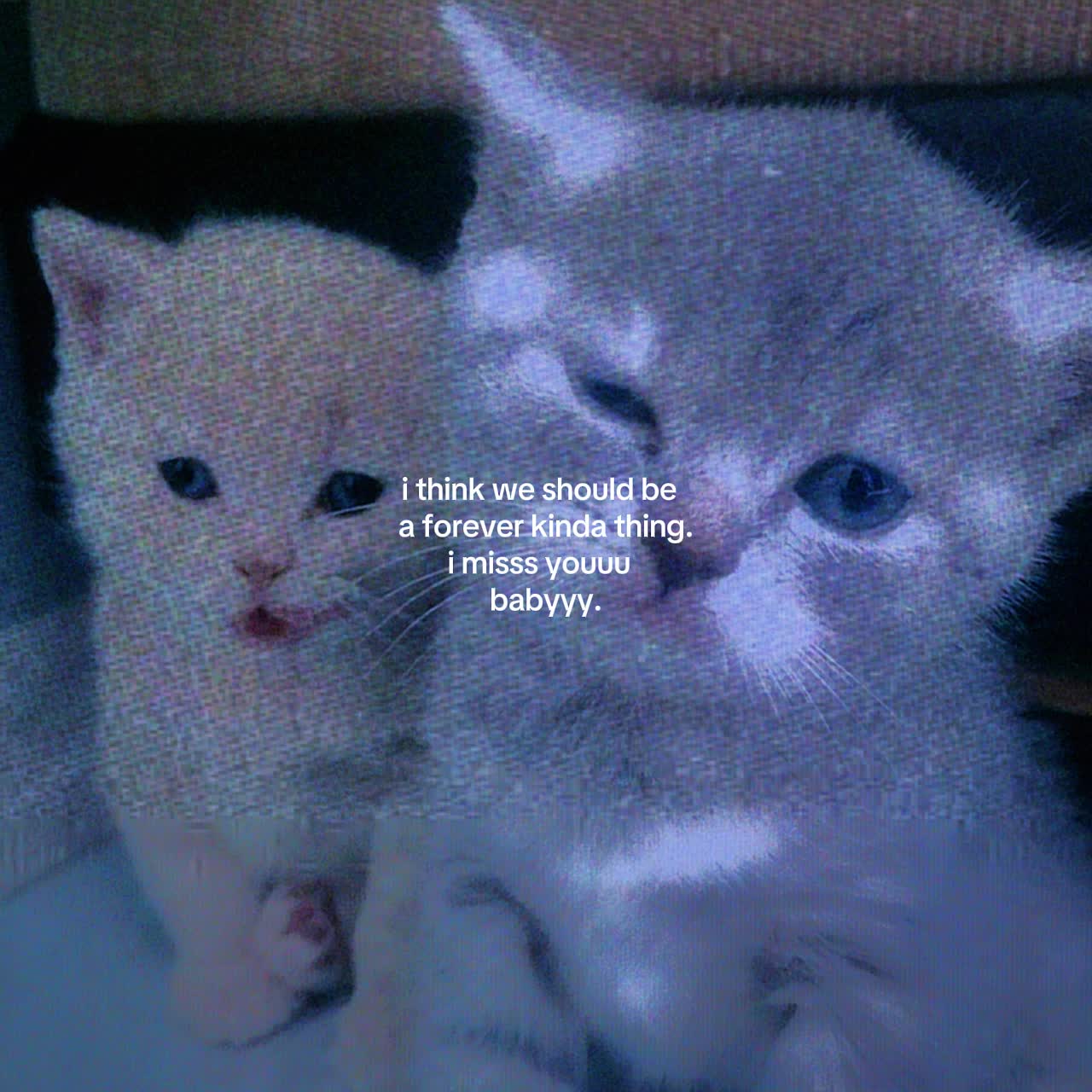 @Spotify: LXNYA