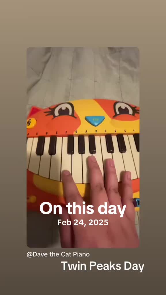 @Dave the Cat Piano