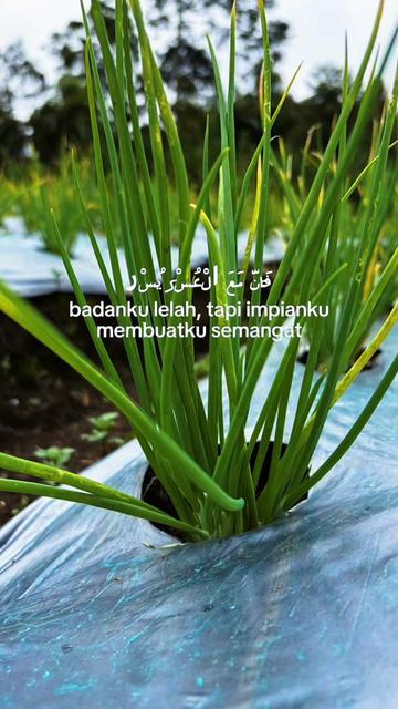 @nanda_setiawan_