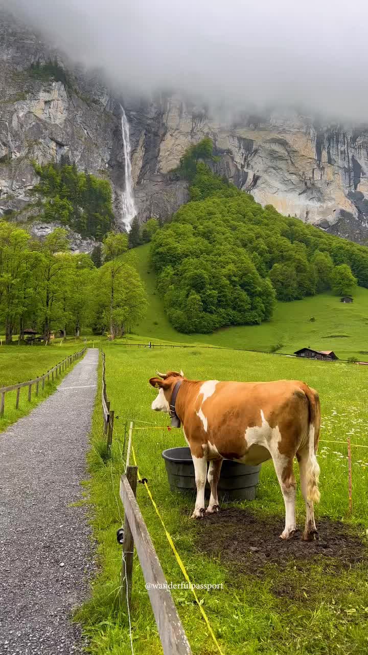 @Switzerland Guide 🇨🇭