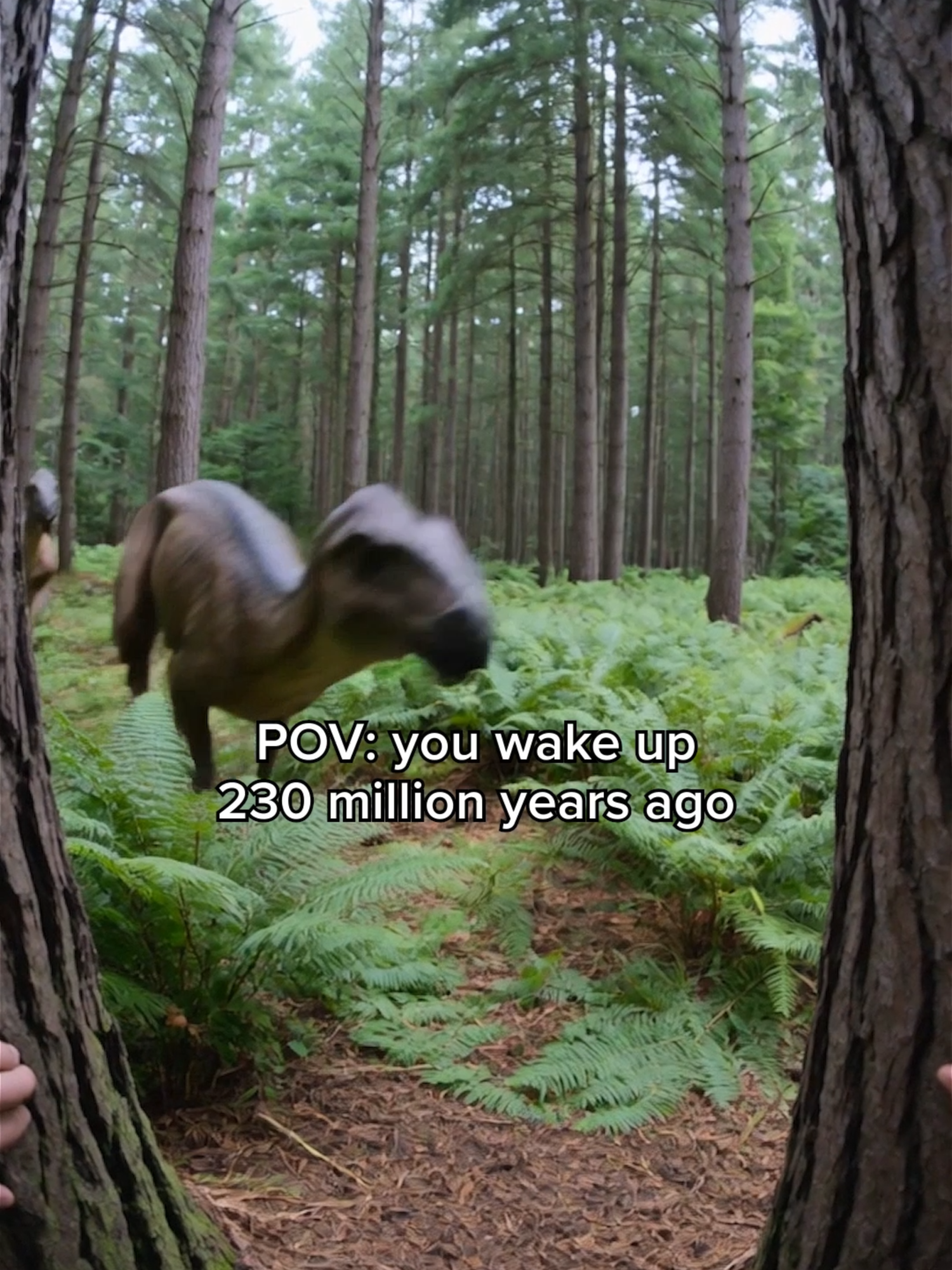 @ZooLogic