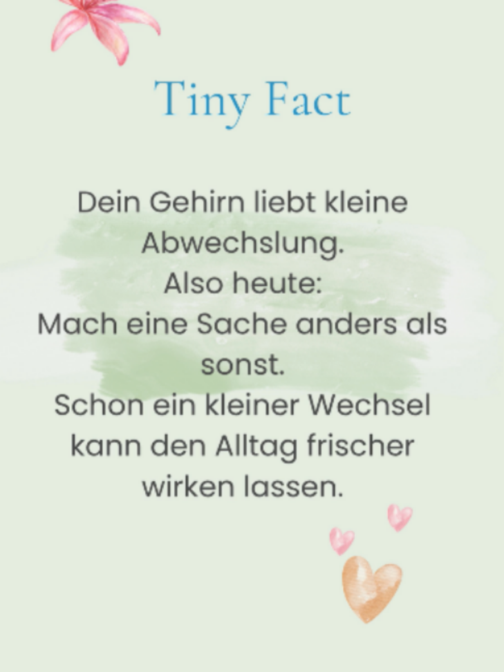 @🌿Tiny Joys by Eira 📚