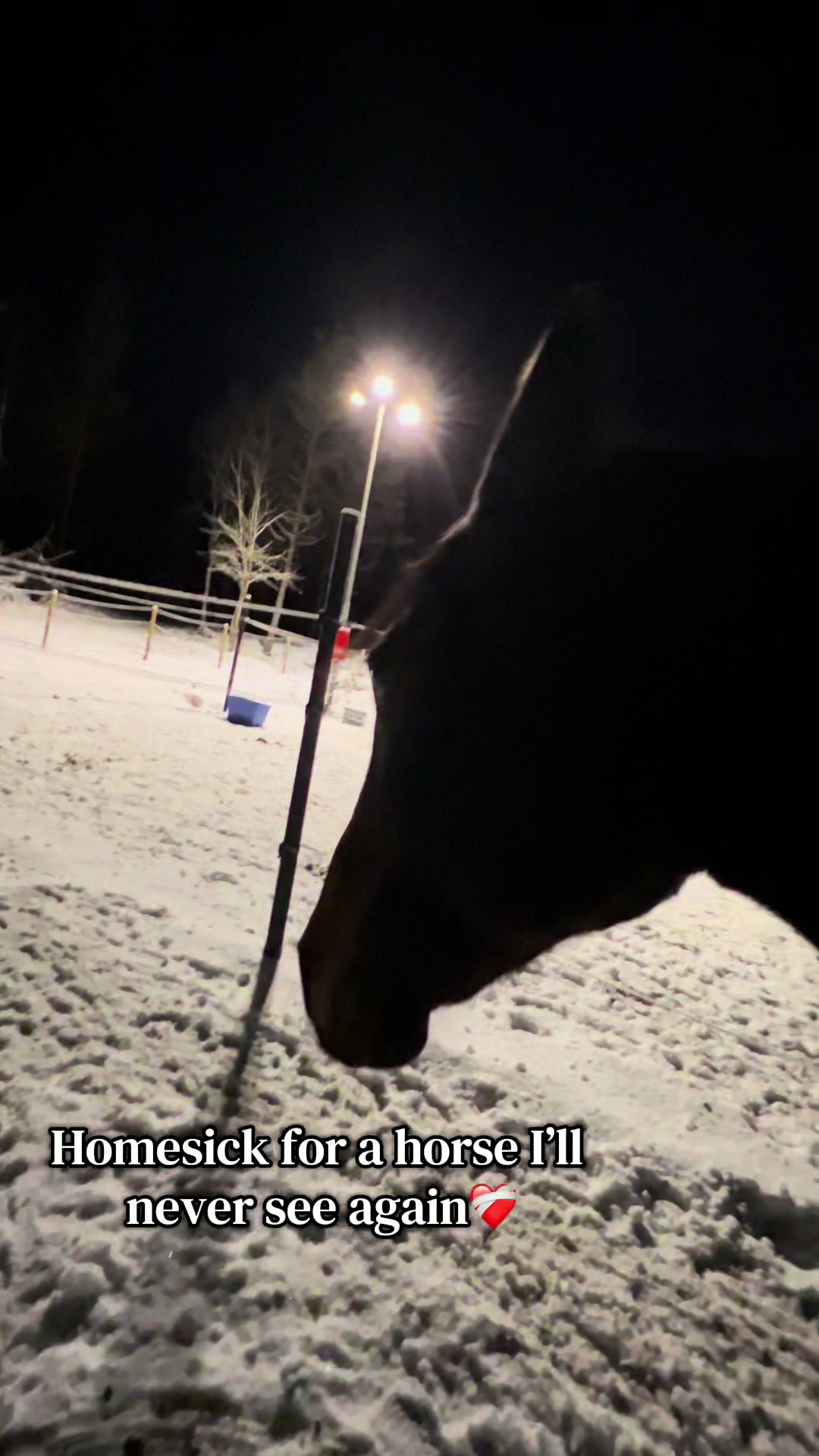 @mathilde 💕🐴