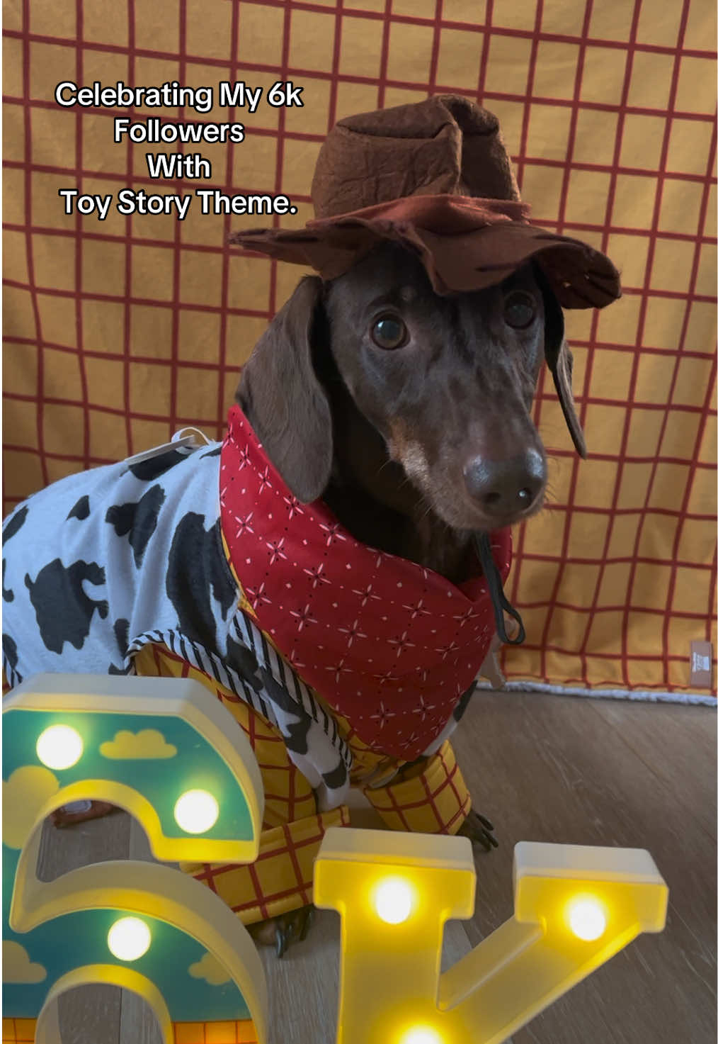 @disneythedachshund