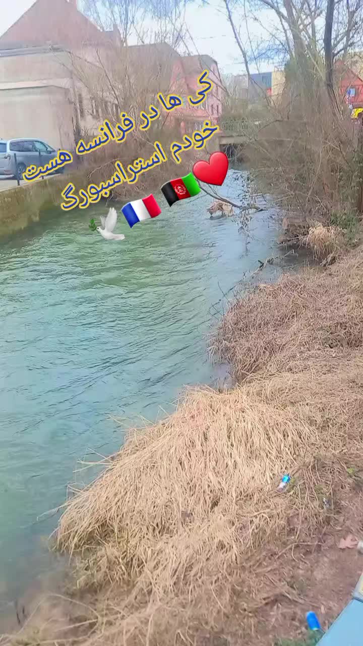 @§ȟåď¤ķȟț