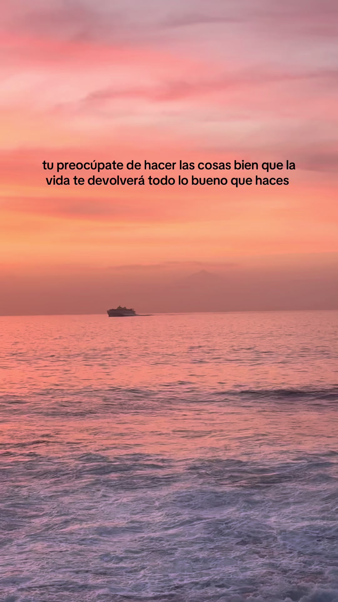 @lauri