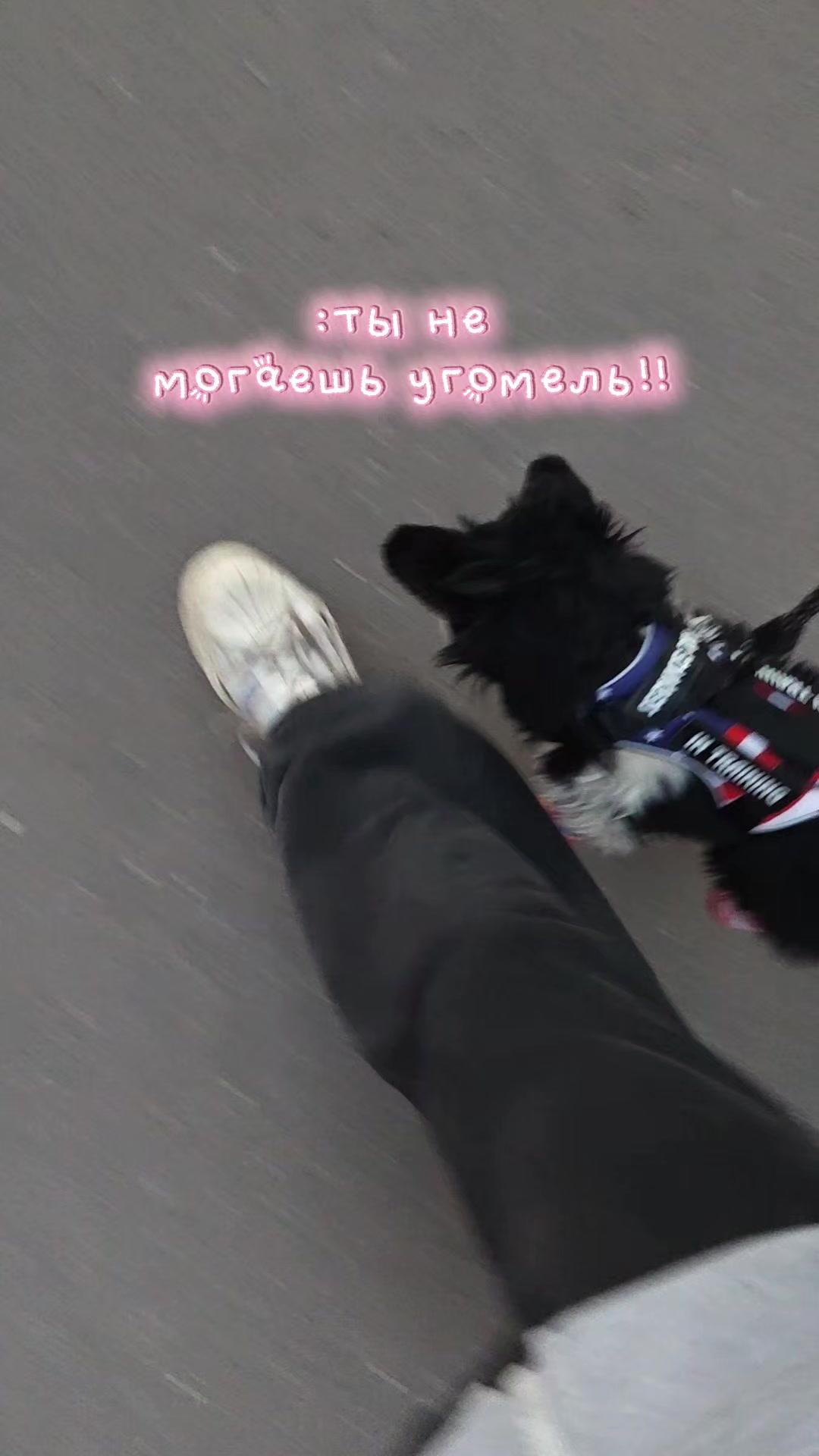 @🍦АБРИКОС🌫️[PDB] [ESSA]