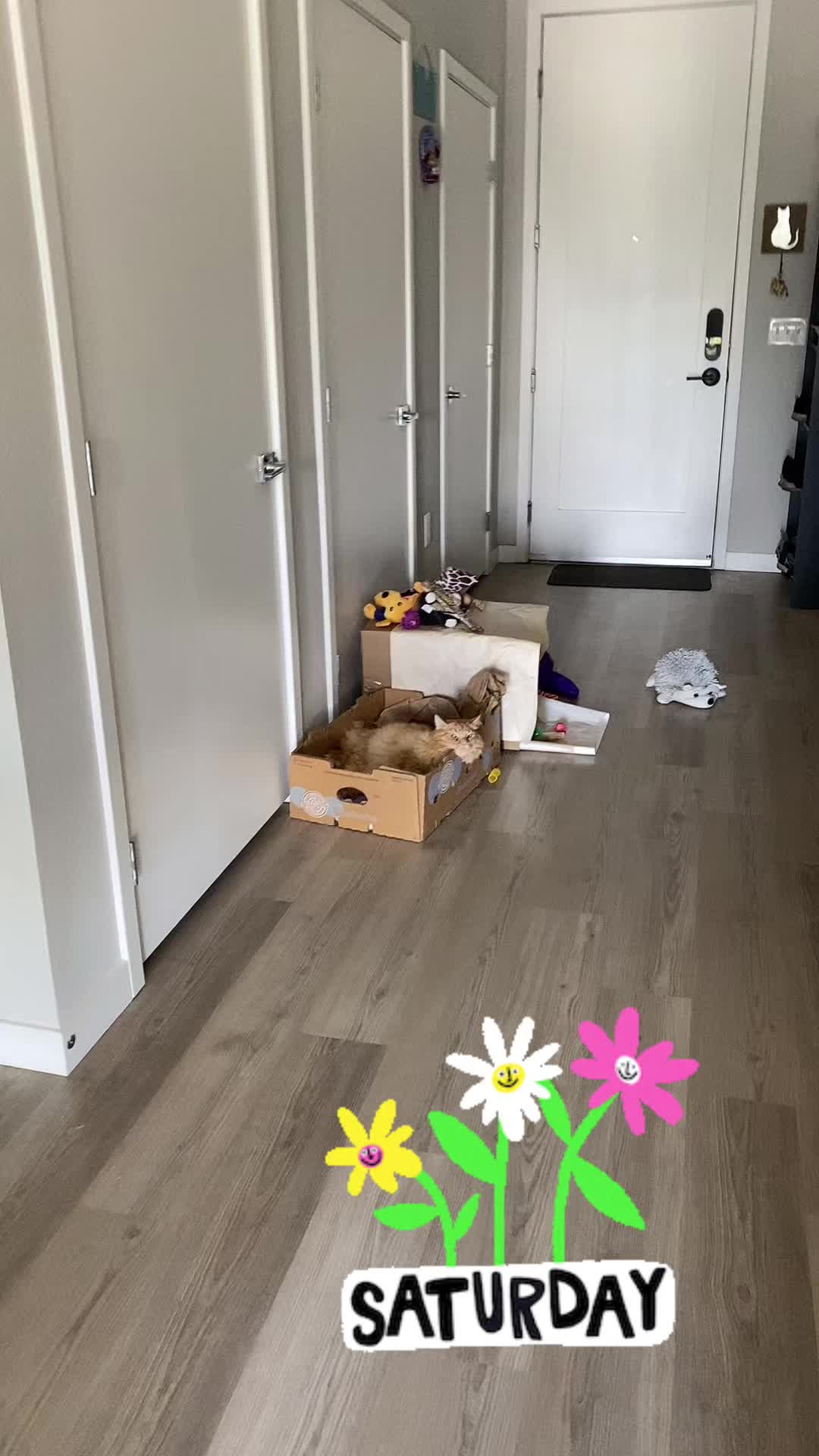 @Aimster