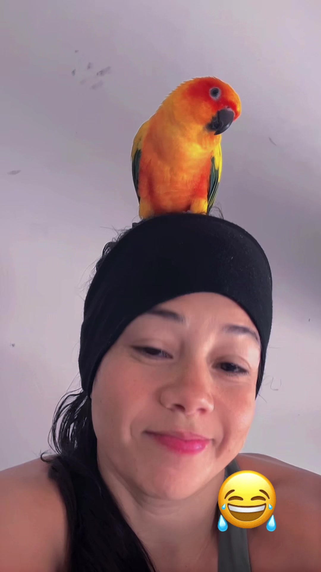 @Suncheepo🦜