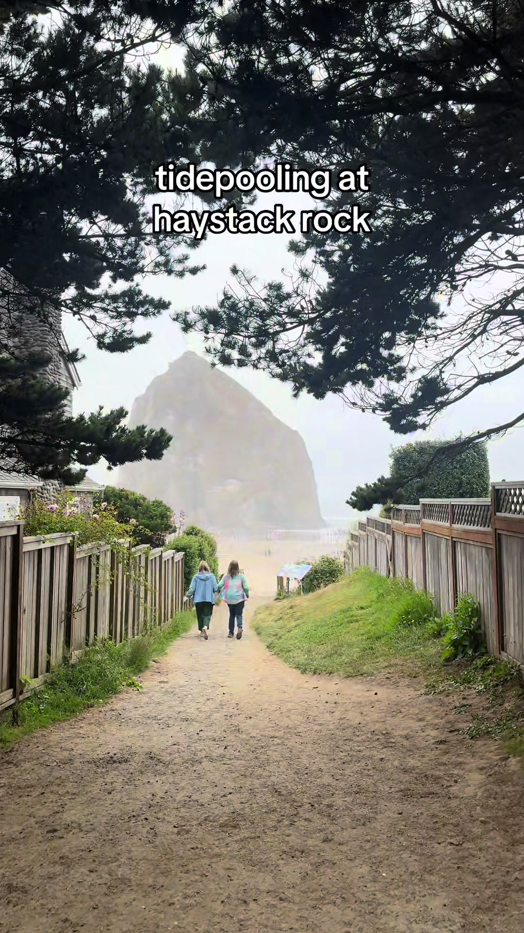 @Jaidyn🪩🤍