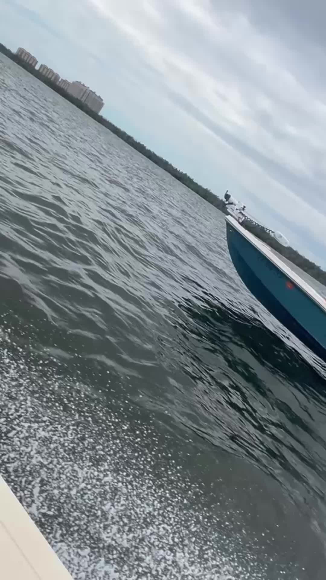 @Capt Joey