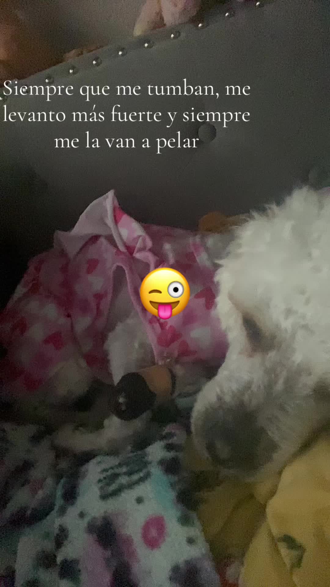 @Adi Robles