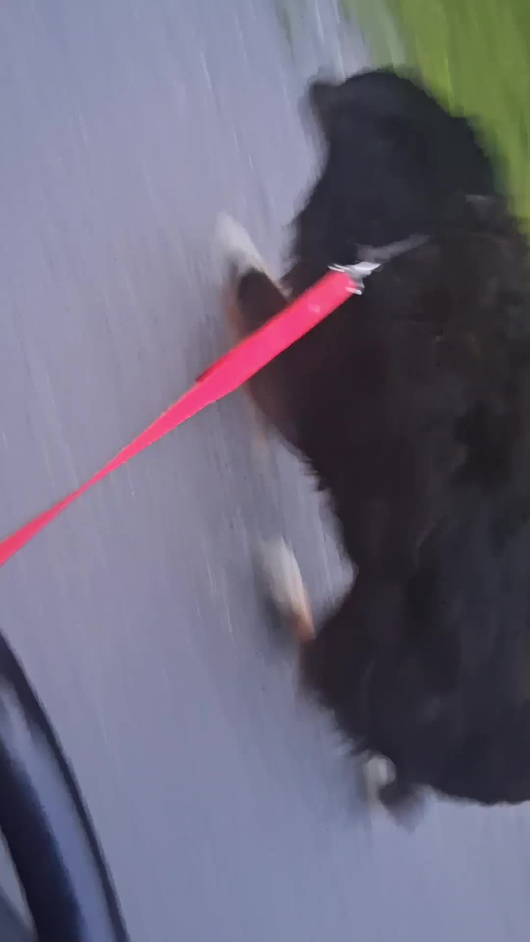 @Natalie Thatmalinoislady