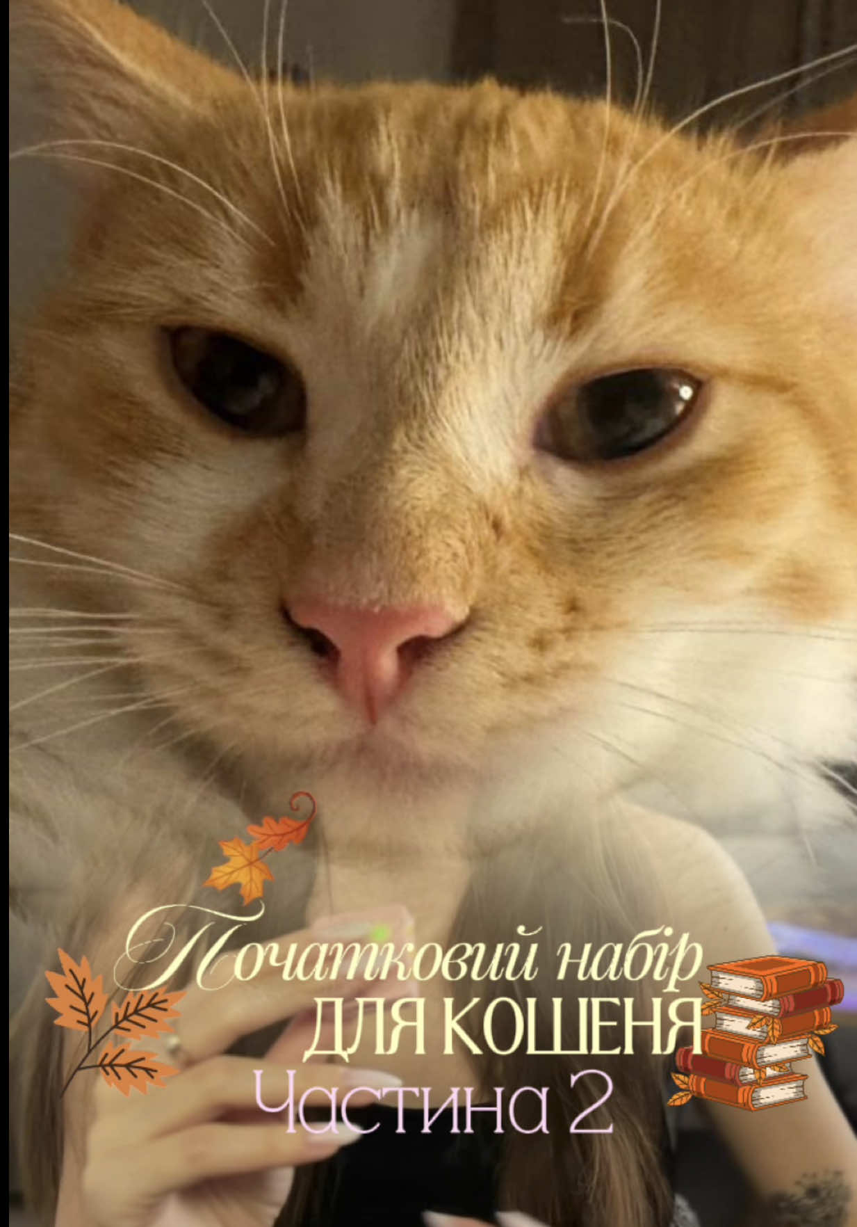 @СОНЯУ