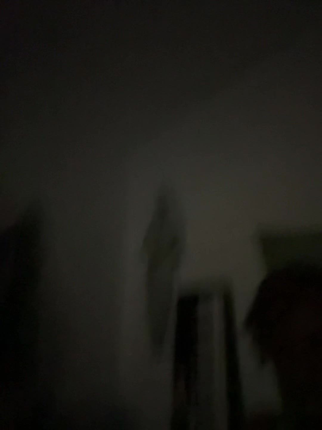 @justasillyjojofan