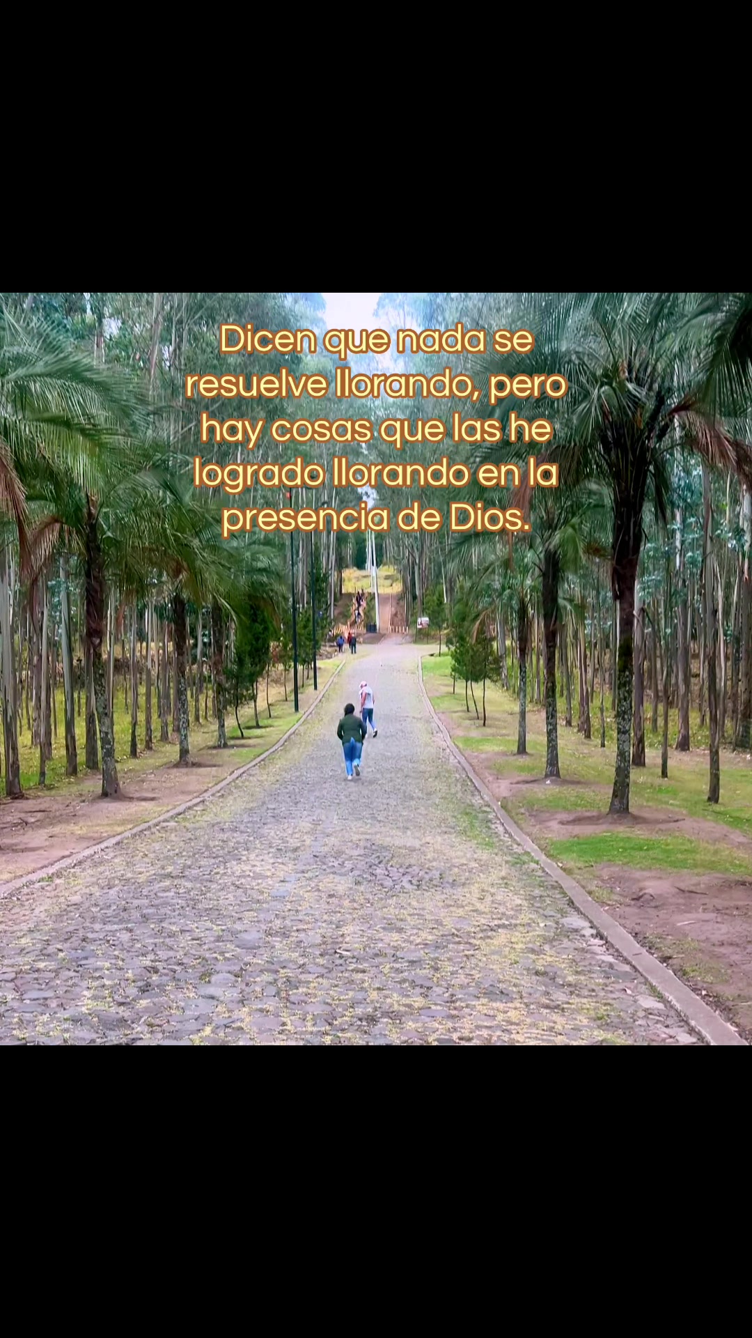 @Diana Gabriela R