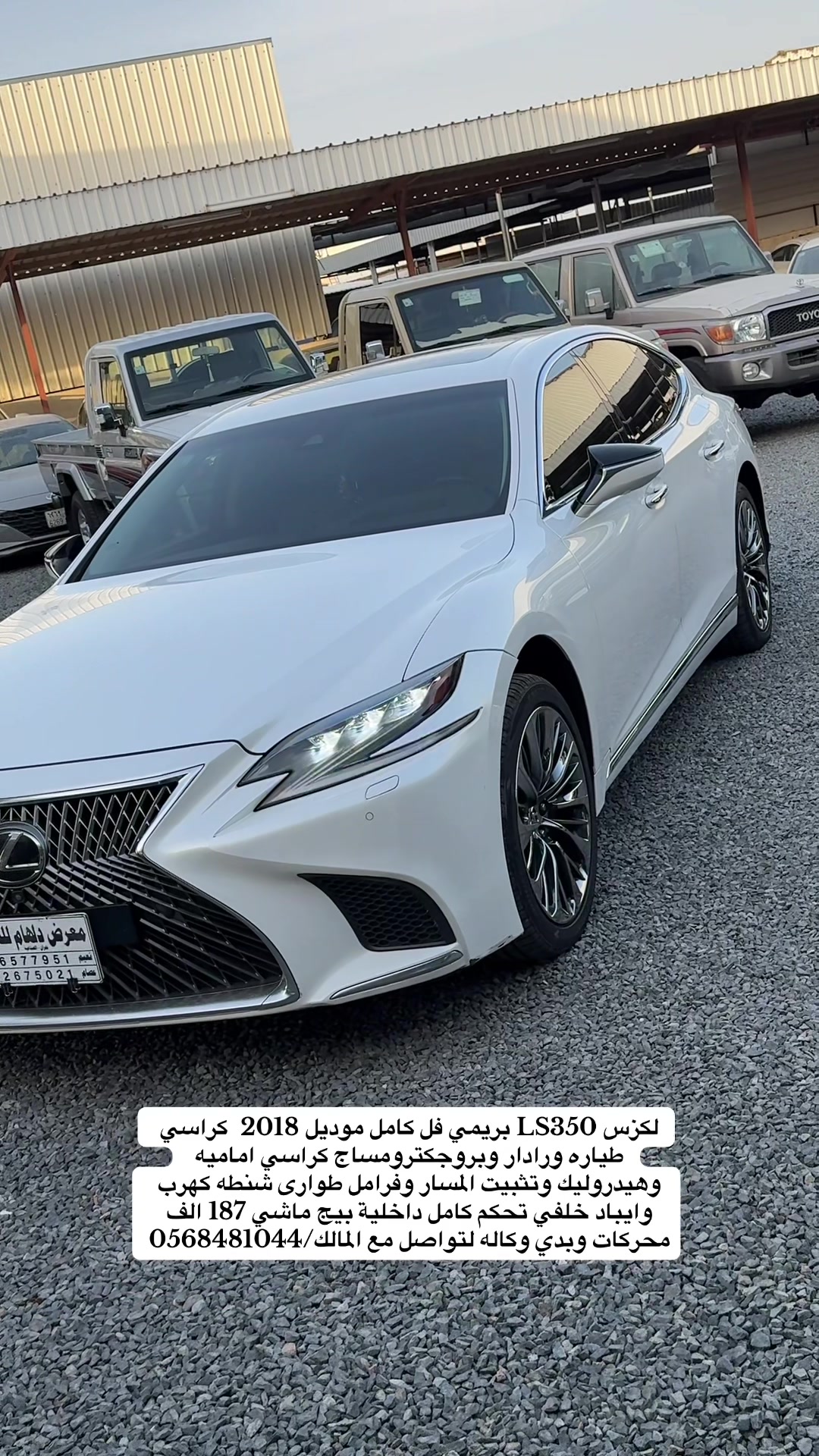 @معرض دلهام للسيارات