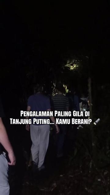 @Wonderful Tanjung Puting