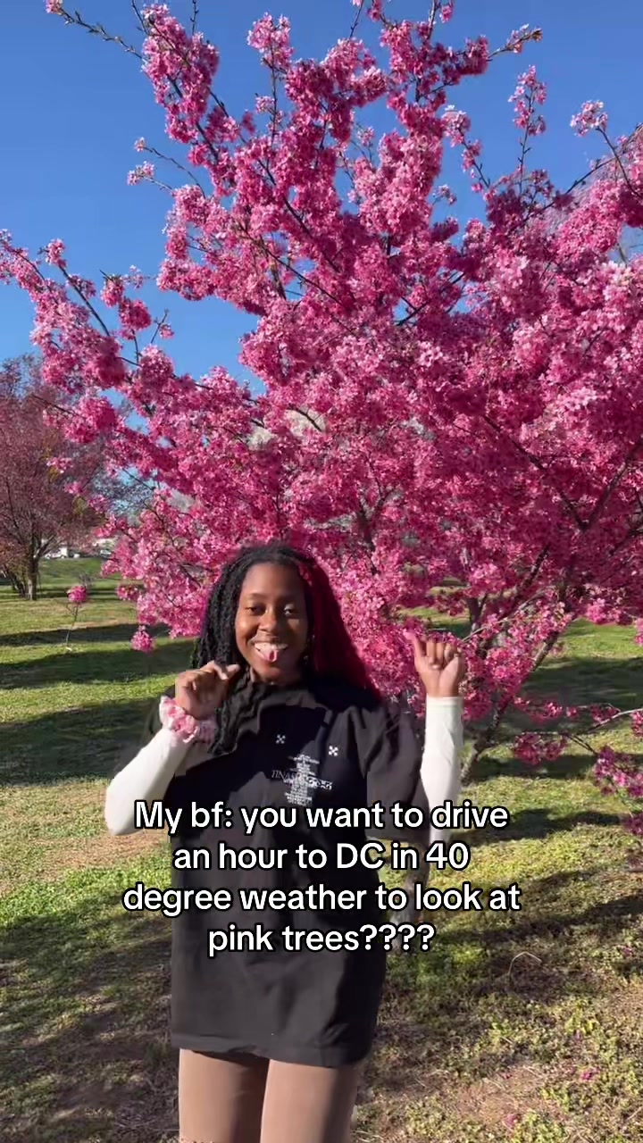 @King Deedeedee