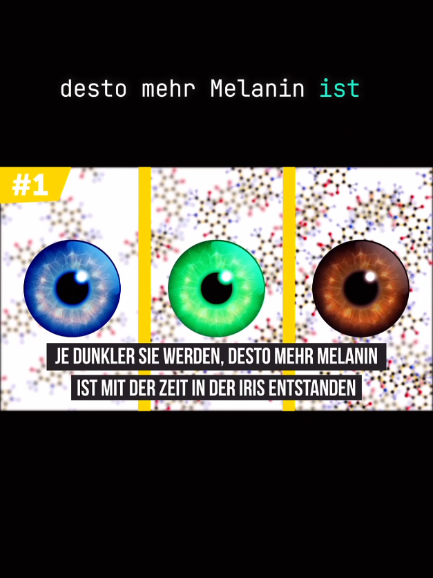 @Mindset Kompass