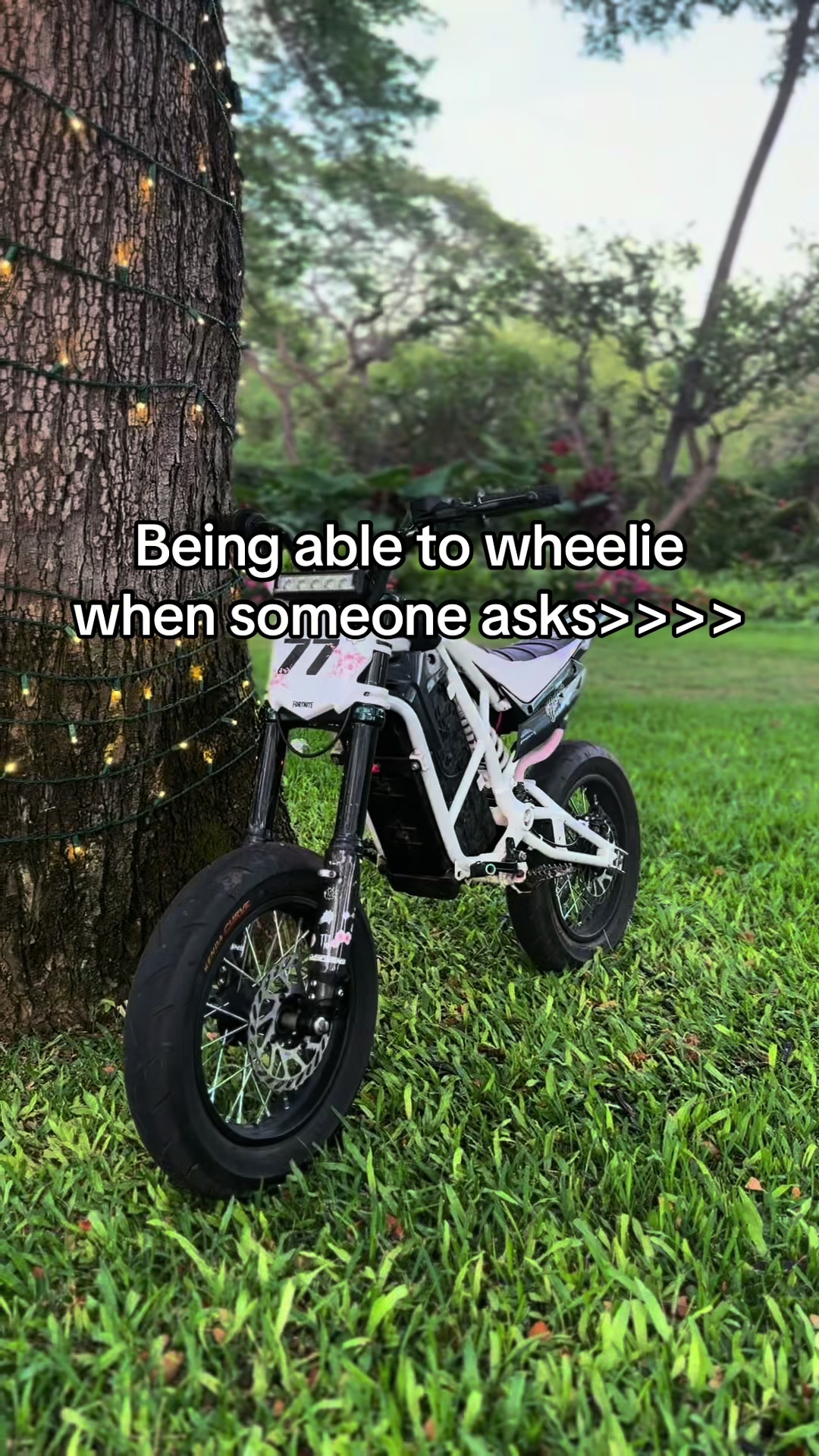 @wht_ebox