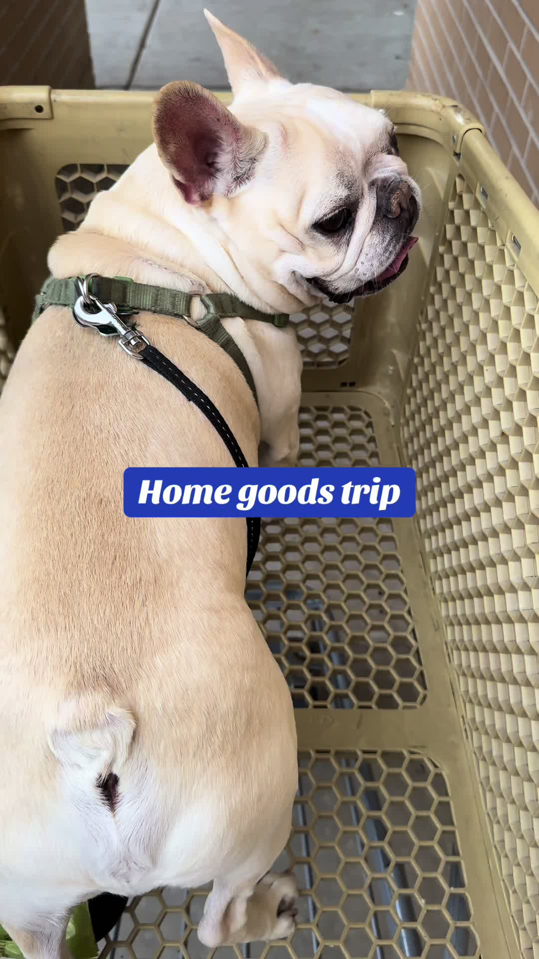 @CharliesWorldzzz