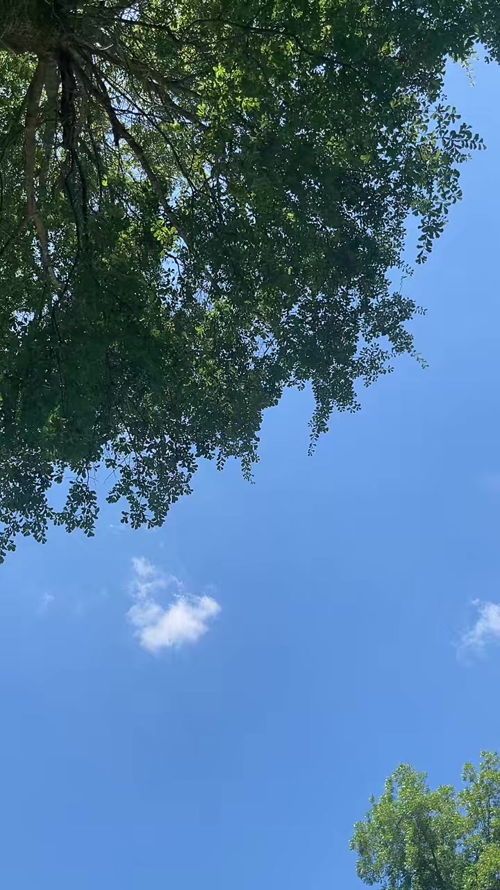 @LucyD Domingo 🥰🥰