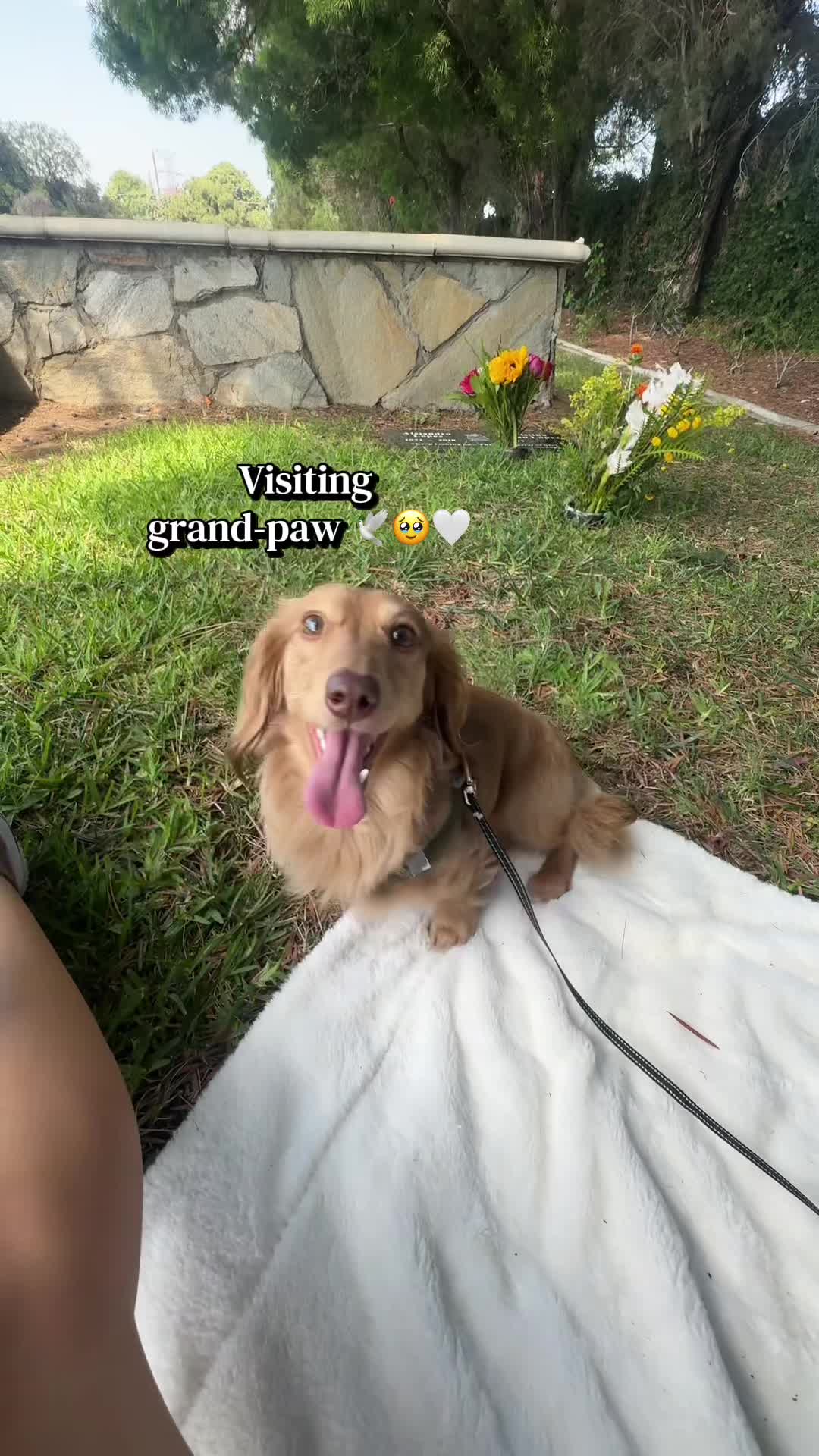 @Sabrina Says Relax♡