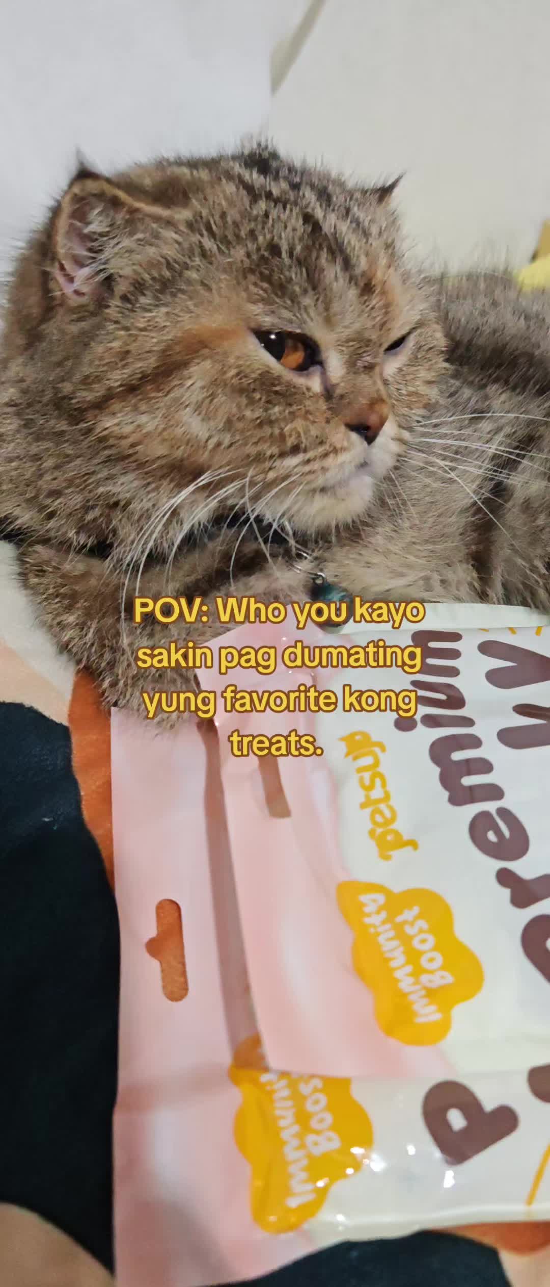 @wwwjackyyy
